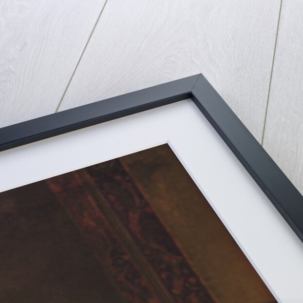 The Mirror by Florent Willems