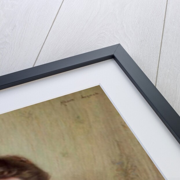 Portrait of a Countess by Albert Lynch