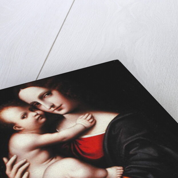 Madonna and Child by Giovanni Pietro Rizzoli Giampietrino