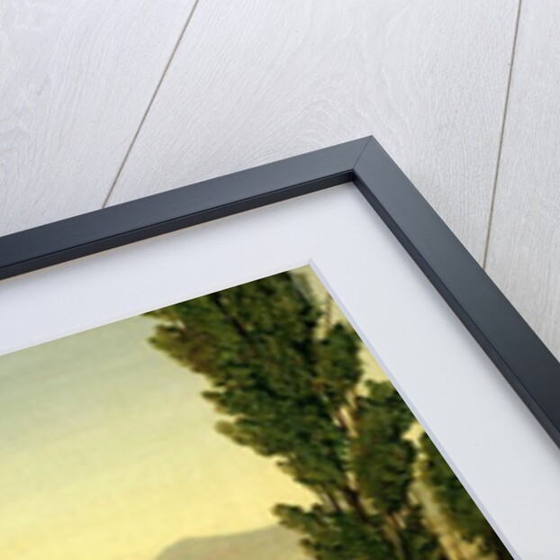 A View of the Tiber and the Roman Campagna from Monte Mario, 1829 by William Linton