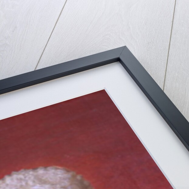 Caroline Herschel, 1829 by Martin Francois Tielemans