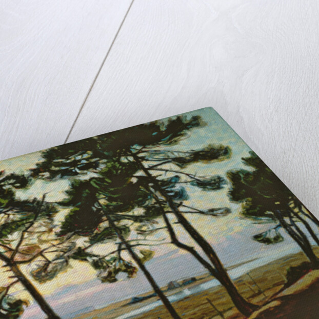 La Hume, Arcachon by Pierre Gaston Rigaud