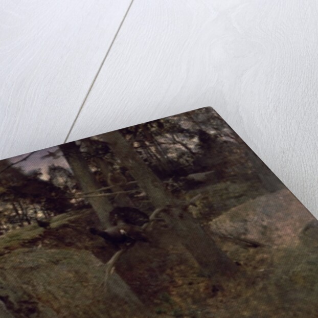 The Mating of the Capercaillies, 1888 by Bruno Andreas Liljefors