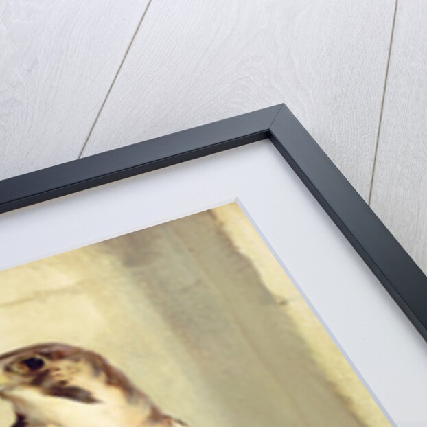 Falcon, 1837 by Edwin Landseer