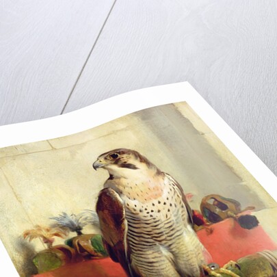 Falcon, 1837 by Edwin Landseer