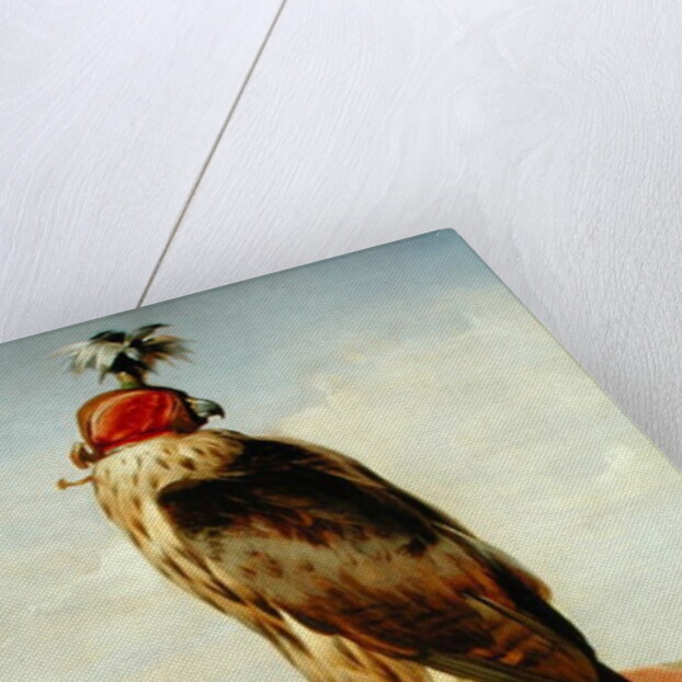 Hooded Falcon by Edwin Landseer