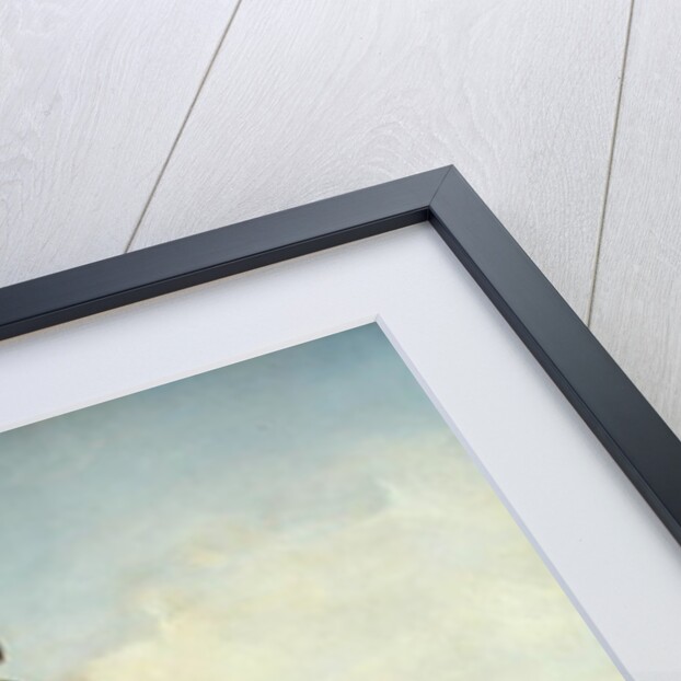 Hooded Falcon by Edwin Landseer