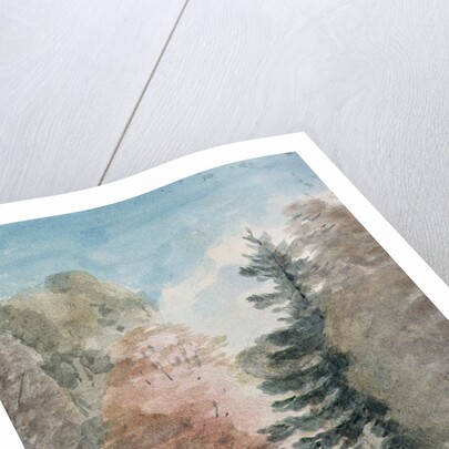 Study of Trees in a Park by John Constable