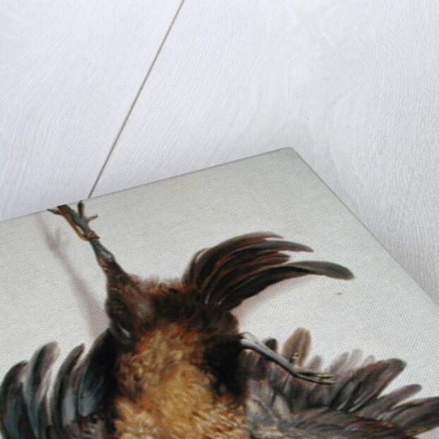 A Hen and a Kingfisher Hanging on a String by Jacobus Biltius