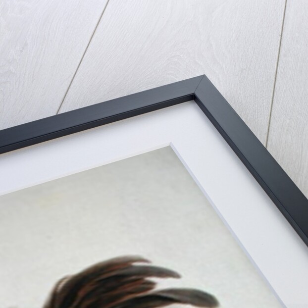 A Hen and a Kingfisher Hanging on a String by Jacobus Biltius