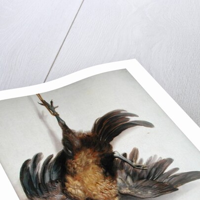 A Hen and a Kingfisher Hanging on a String by Jacobus Biltius