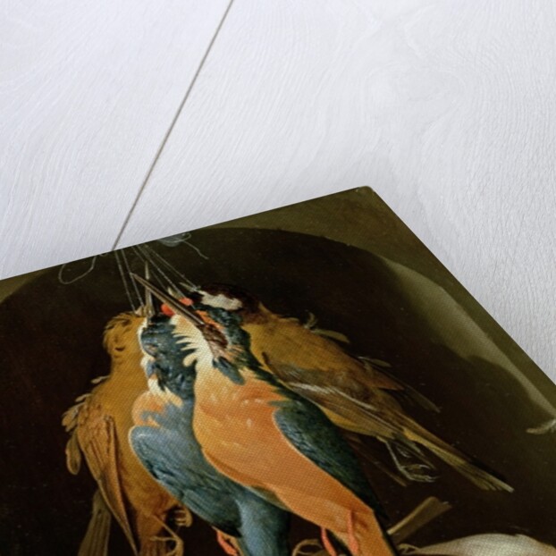 Still life of birds by Abraham Mignon