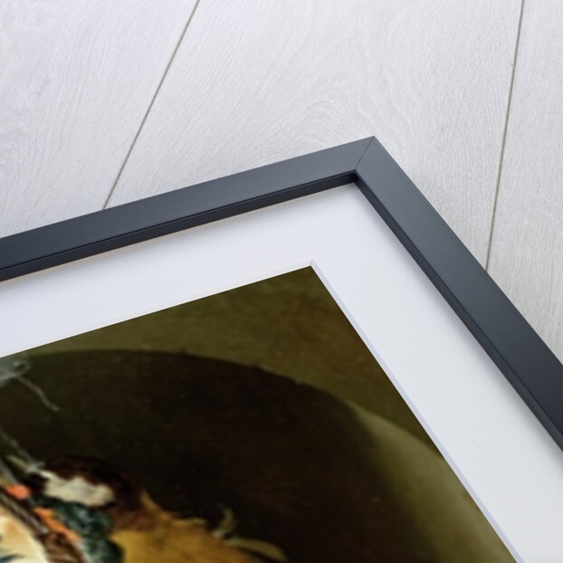 Still life of birds by Abraham Mignon