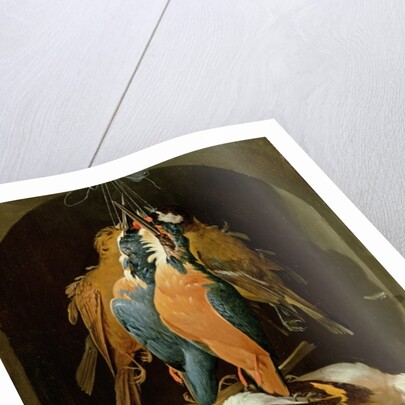 Still life of birds by Abraham Mignon