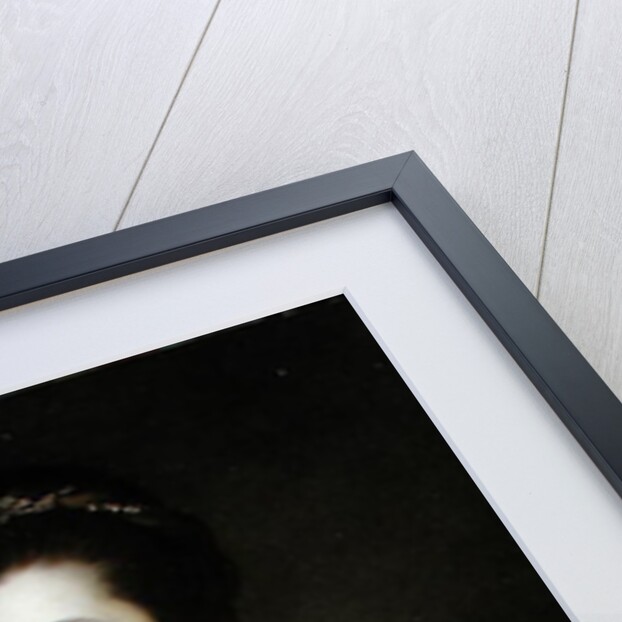 Portrait of Lady Juliana Dawkins, 1760 by Joshua Reynolds