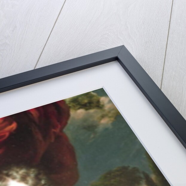 Portrait of a Lady, 1677 by Nicolaes Maes