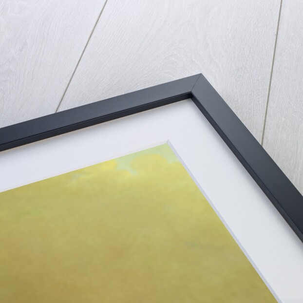 Racehorse by Benjamin Marshall