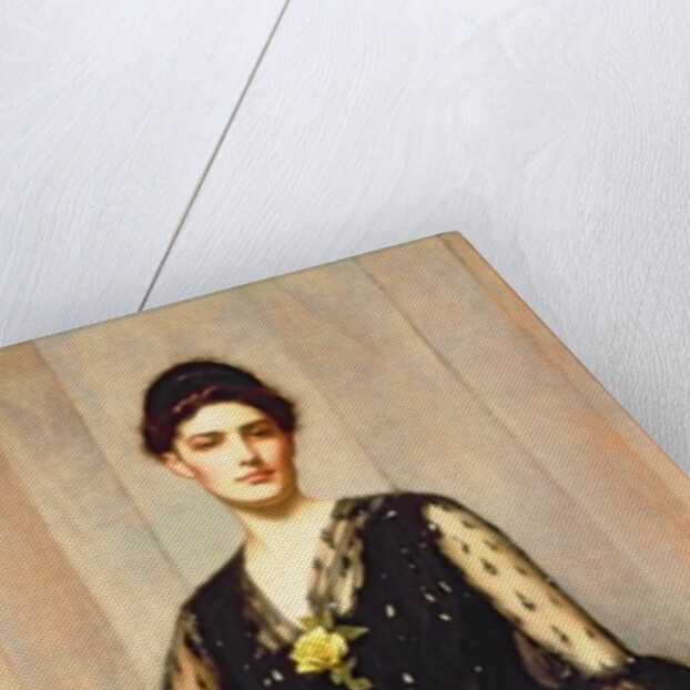 Portrait of Mrs. Agnes Williamson by James Jebusa Shannon