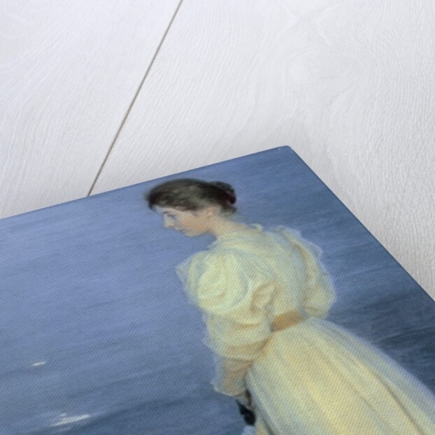 Summer Evening at Skagen, the Artist's Wife with a Dog on the Beach, 1892 by Peder Severin Kroyer