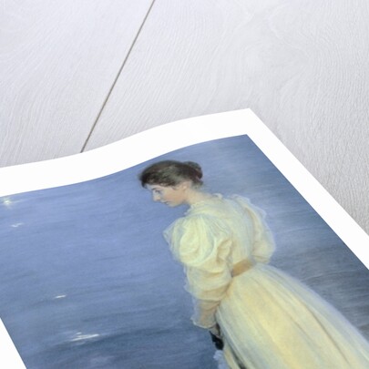 Summer Evening at Skagen, the Artist's Wife with a Dog on the Beach, 1892 by Peder Severin Kroyer