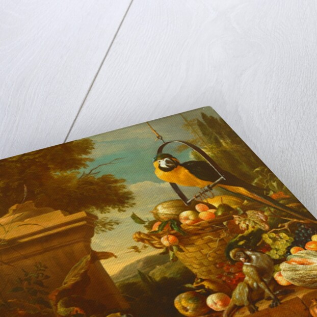 Macaw and a monkey by Melchior de Hondecoeter