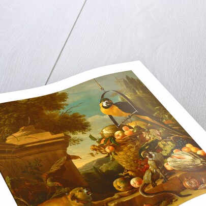 Macaw and a monkey by Melchior de Hondecoeter