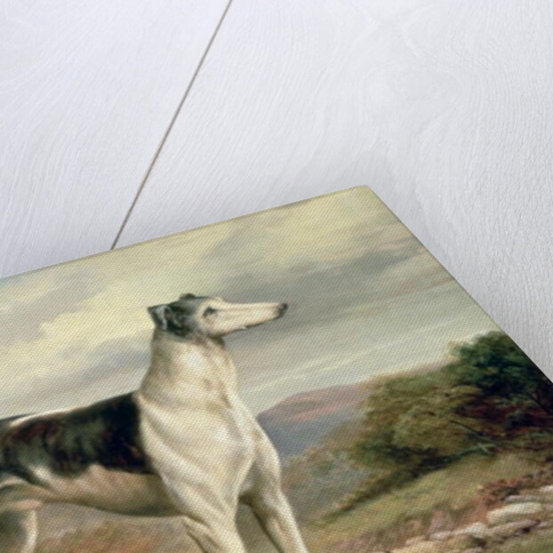 A Greyhound in a hilly landscape by James Henry Beard