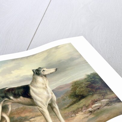 A Greyhound in a hilly landscape by James Henry Beard