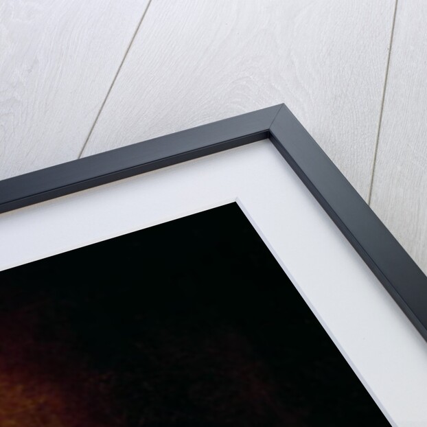 Self Portrait in at the Age of 63, detail, 1669 by Rembrandt Harmensz. van Rijn