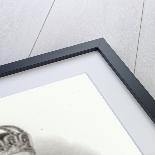 William I, King of Prussia in the 'Allgemeine Moden-Zeitung', Leipzig, 1872 by German School