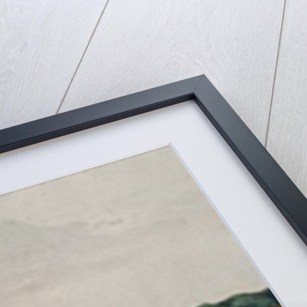 Battlefield of Agincourt, 25th October 1415 by John Absolon