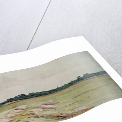 Battlefield of Agincourt, 25th October 1415 by John Absolon