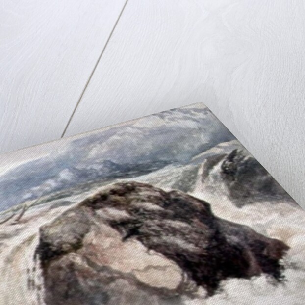 A Waterfall by Sheldon Burrows Adams