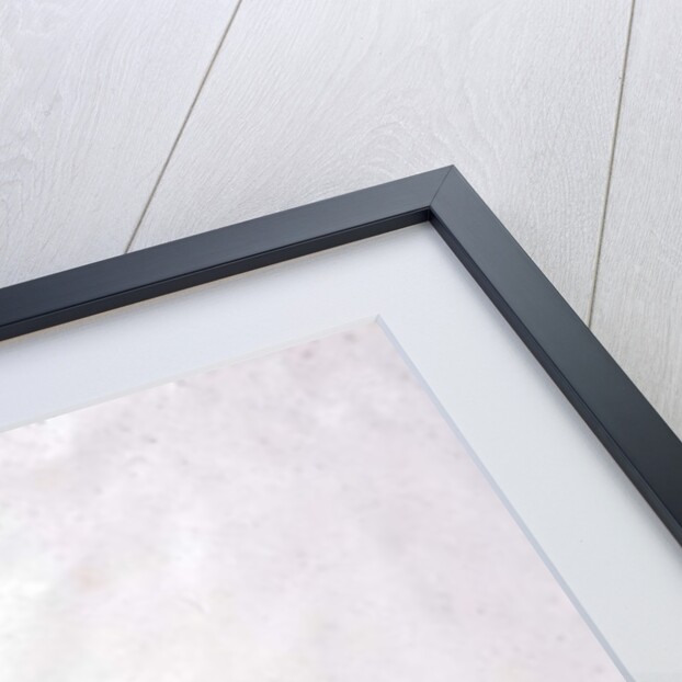 Ivy-leaved Toad Flax by Marie-Anne