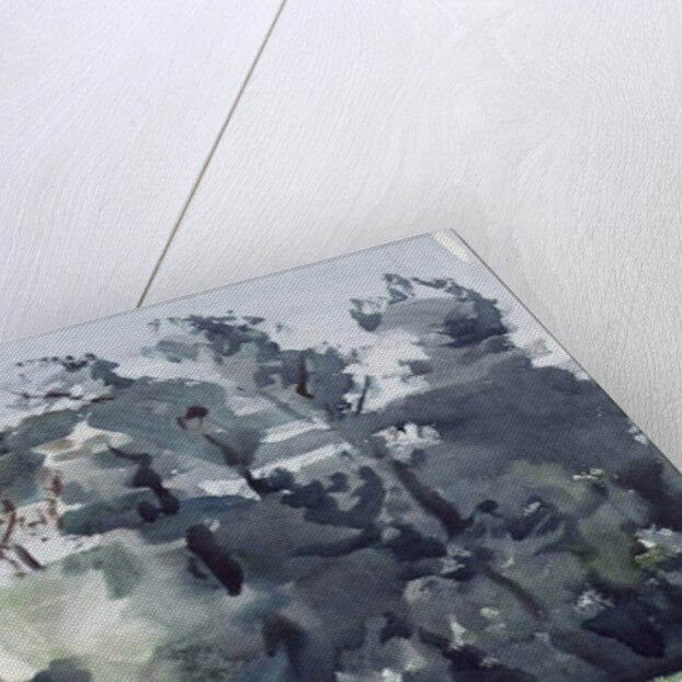 Trees - Dawn by Harry Becker