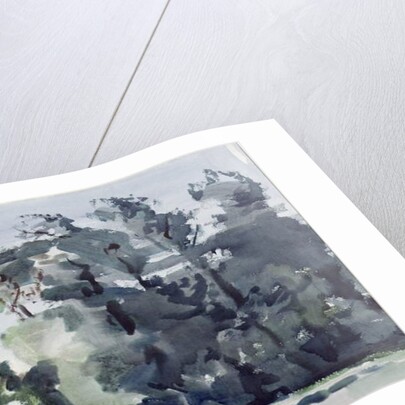 Trees - Dawn by Harry Becker