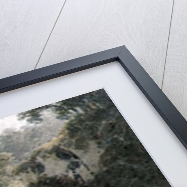 View near Halifax. A pathway with cottage on a slope by James Bourne