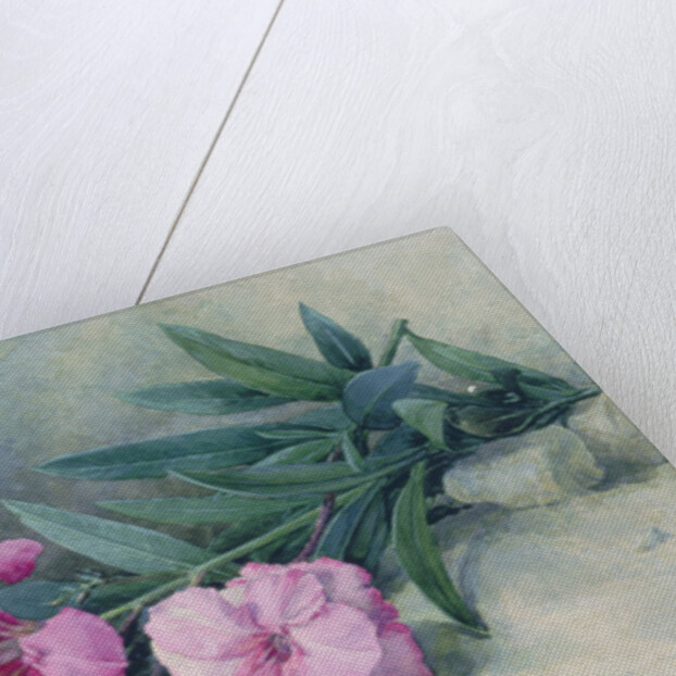 Oleander Blossom by Mary E. Butler