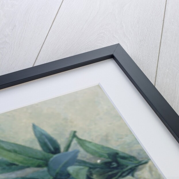 Oleander Blossom by Mary E. Butler