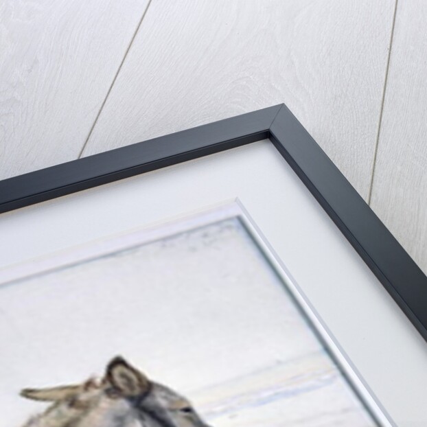 Studies of Animals by Stephen Briggs Carlil