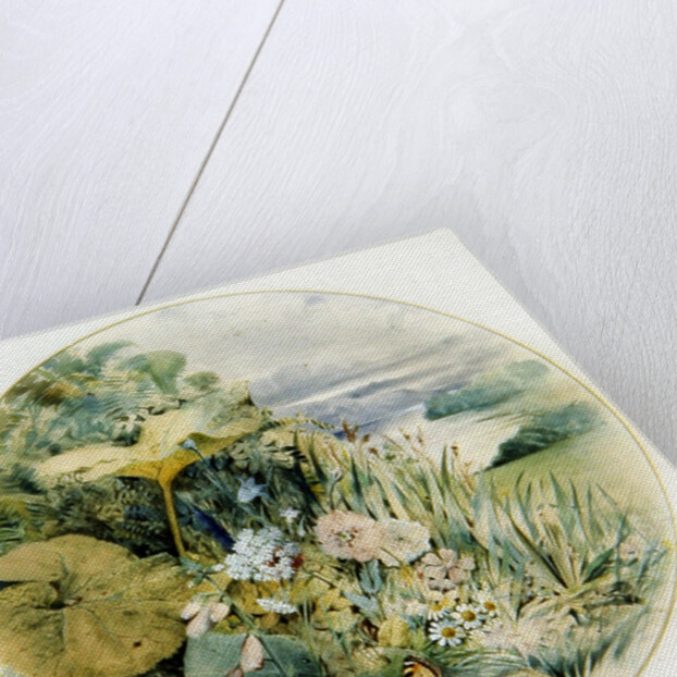 Wild Flowers and Vegetation, in a Lakeland District by William Linnaeus Casey