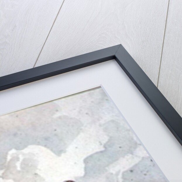 An Old House at Cambridge by Henry Cave