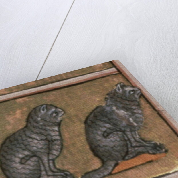 Ms 24 f.5 Adam naming the animals, of North Midlands origin by English School