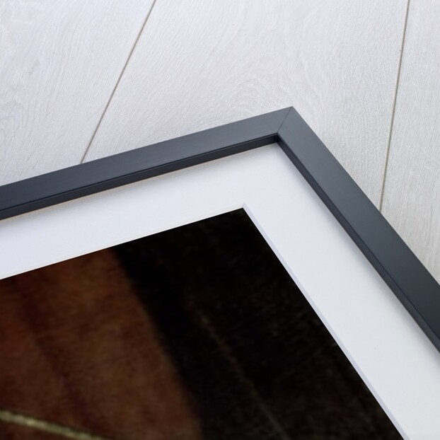 The Graham Children, detail, 1742 by William Hogarth