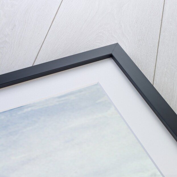 Seascape by Thomas Collier