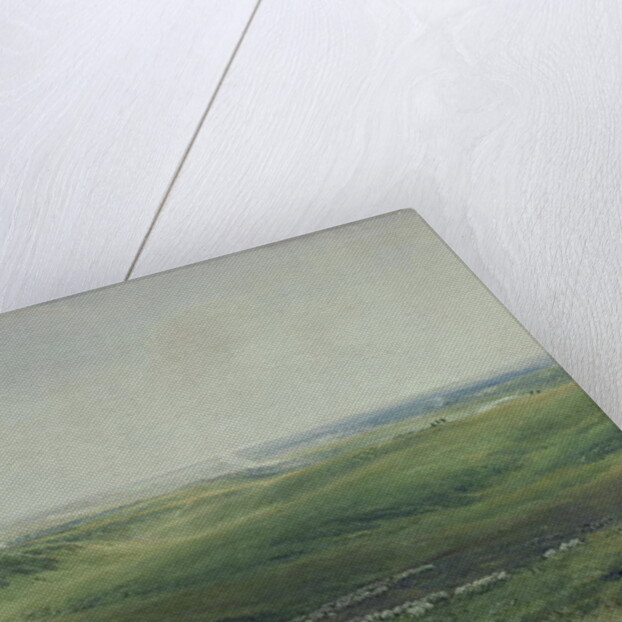 Wide Pastures, Sussex by Thomas Collier