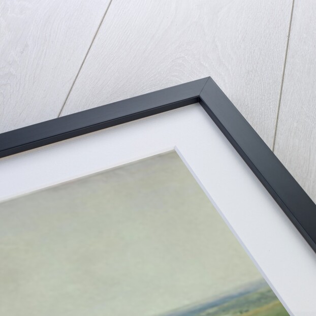 Wide Pastures, Sussex by Thomas Collier