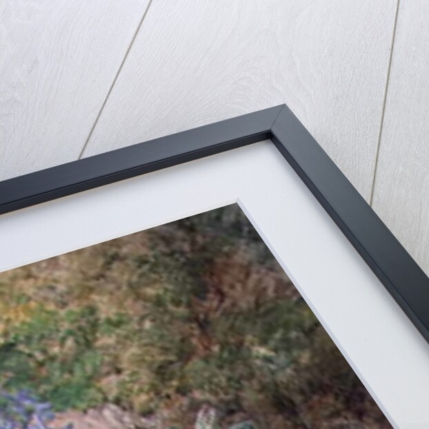 Purple Orchid and Primrose by Thomas Collier