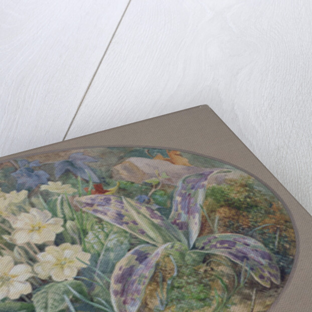 Primrose and Orchid by Thomas Collier