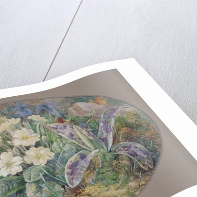 Primrose and Orchid by Thomas Collier